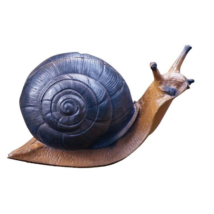 test.jpg